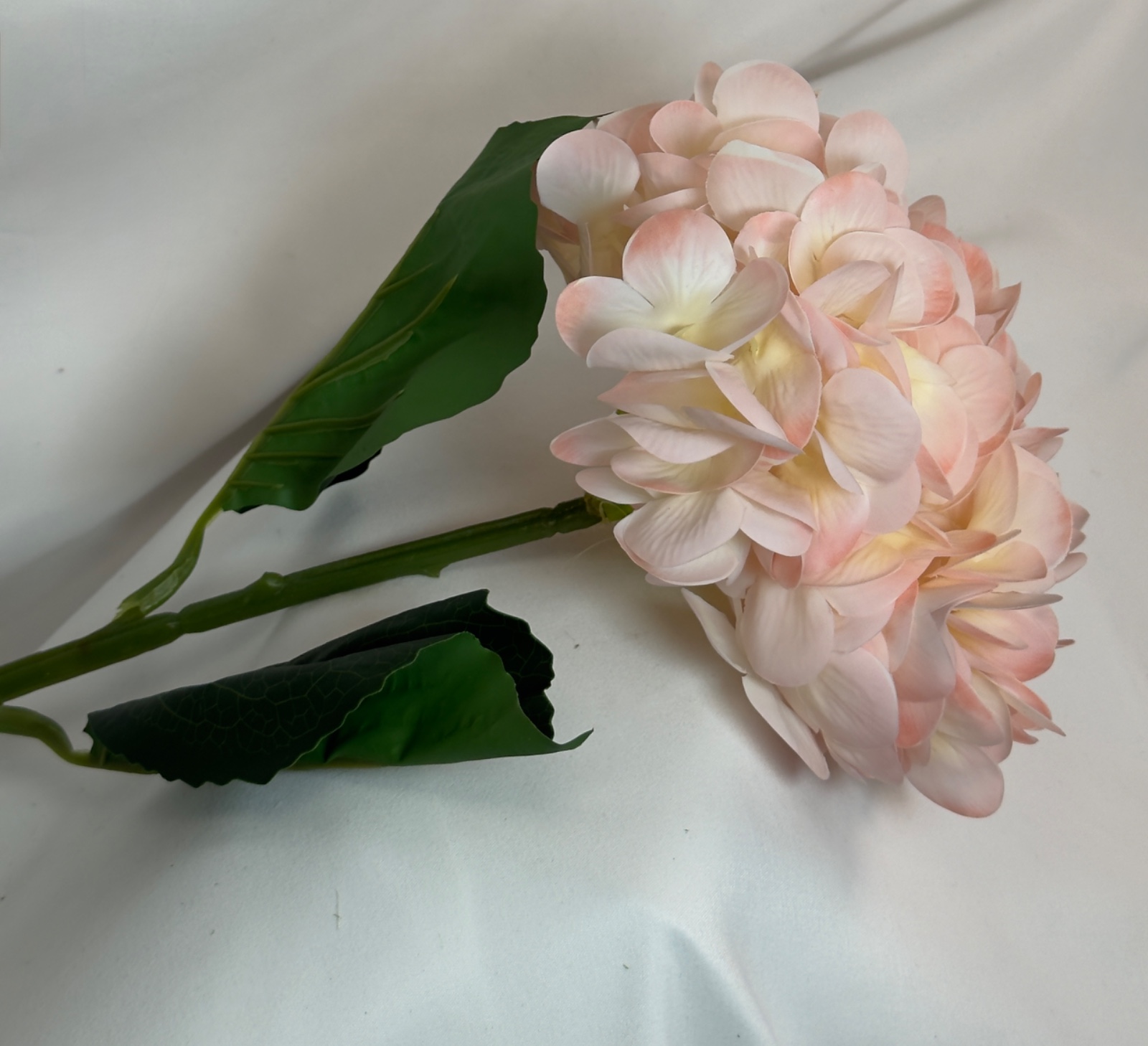 ხელოვნური გორტენზია ფლორა ჰაუსი — photo 6